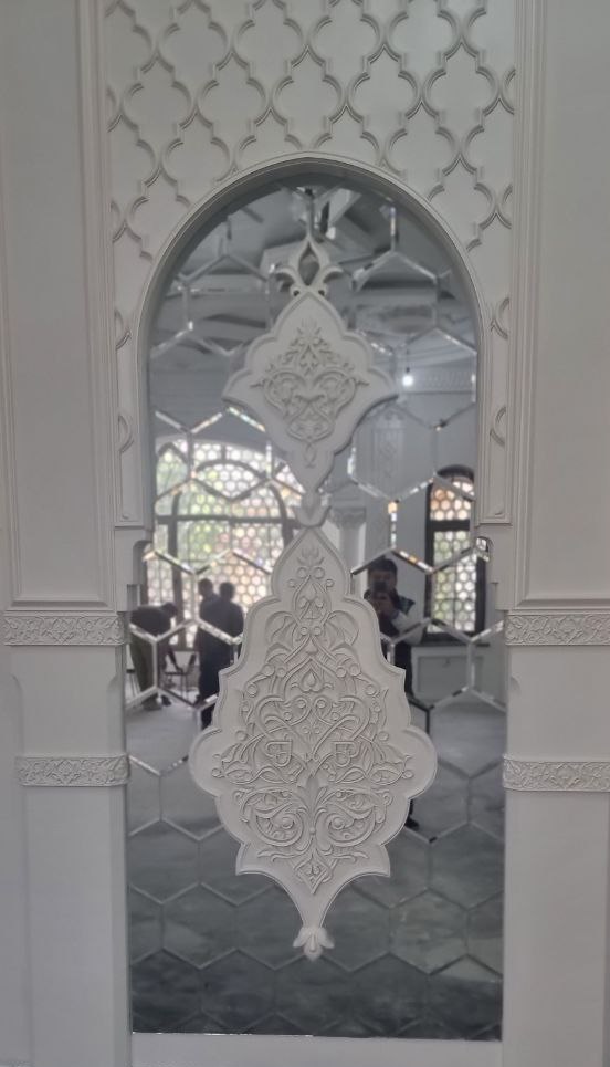 Проект Тойхона 1