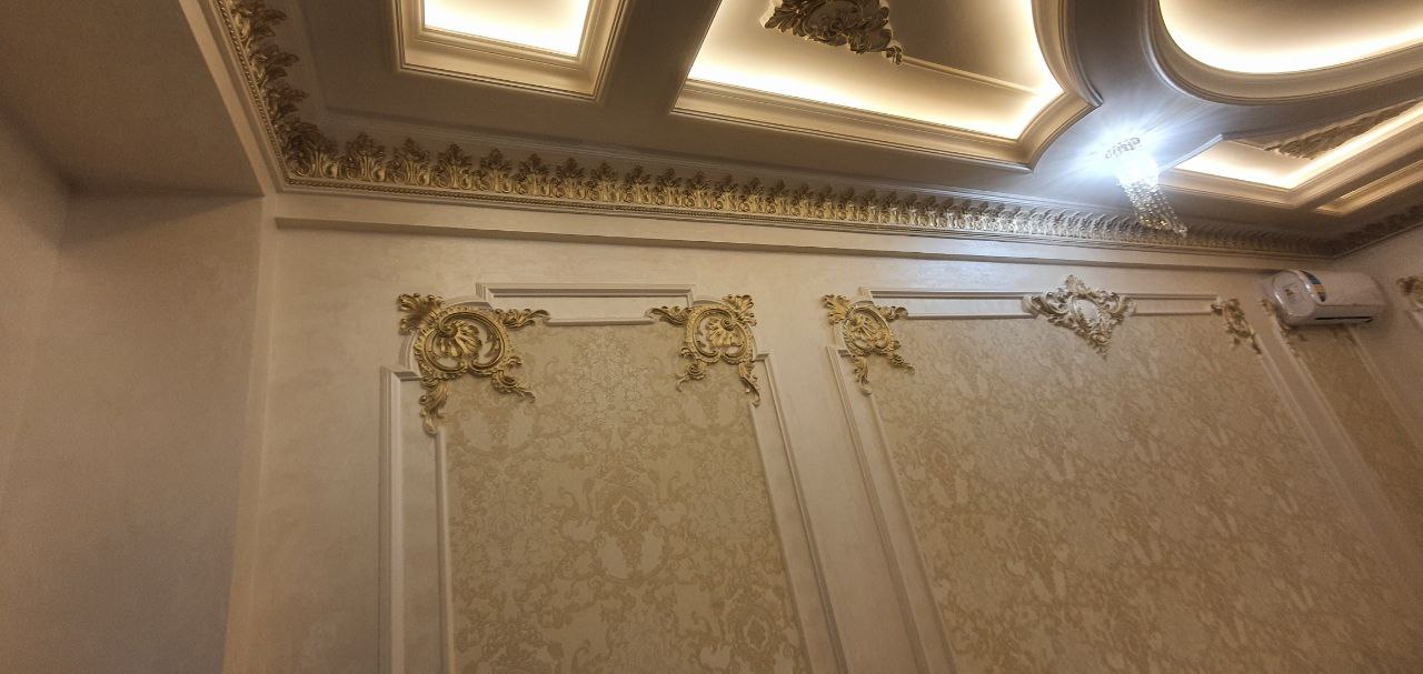 Проект Дома 2